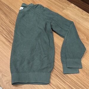 GAP Men's Sage Crewneck Sweater